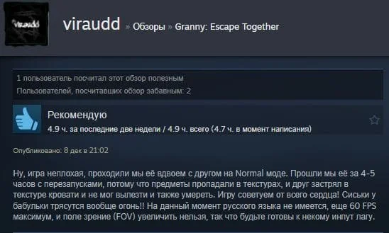 Steam Review