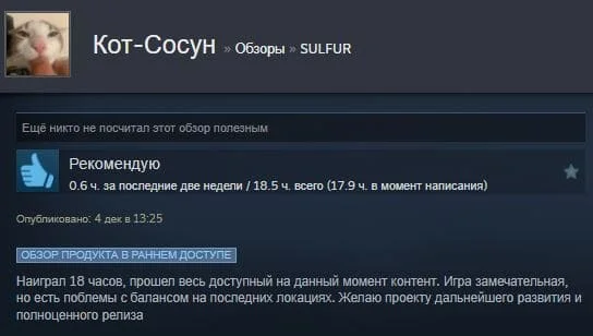 Steam Review
